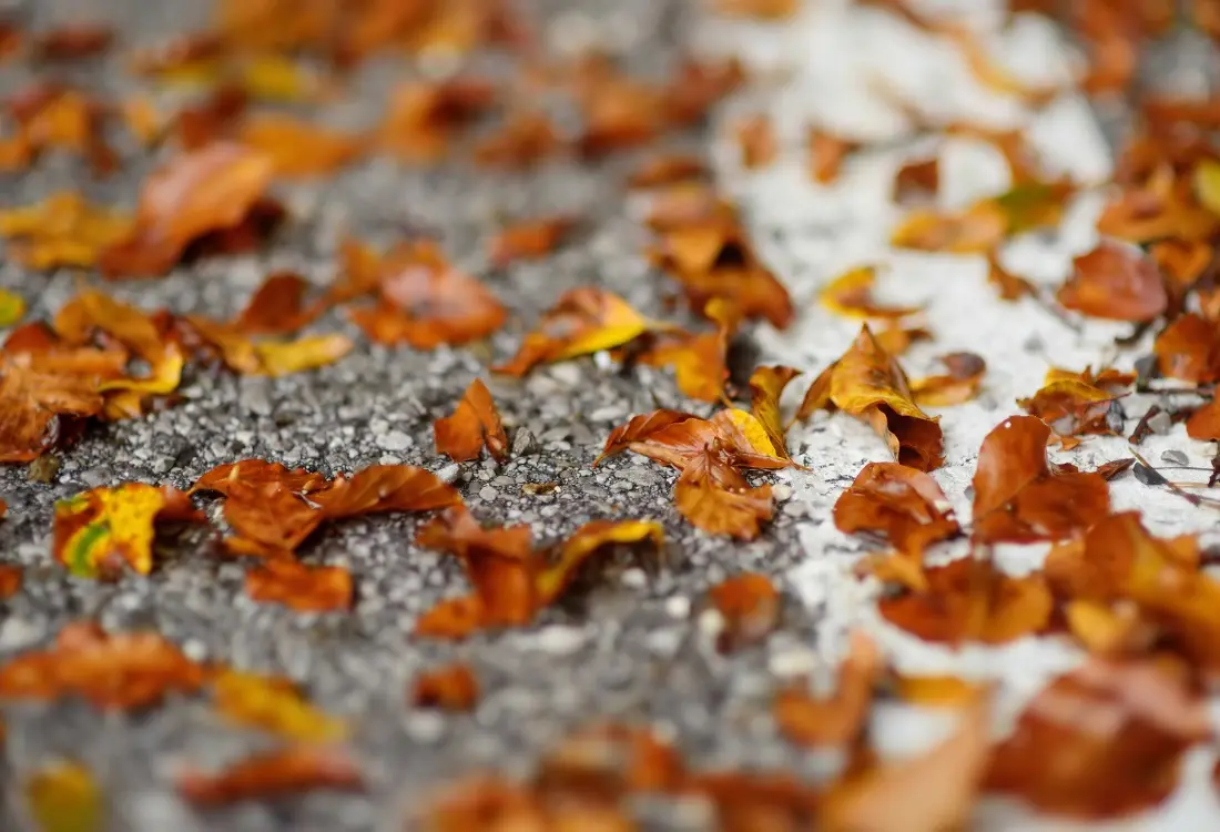 Can You Install A Resin Driveway In The Winter?